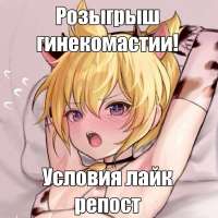 .jpg