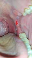 IMG20230220204253.jpg