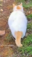 @lepragram.mp4