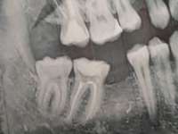 IMG20230427124610.jpg