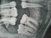 IMG20230427124507.jpg