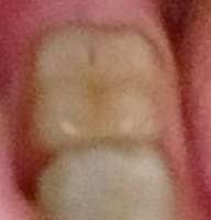 IMG20230516055822566.jpg