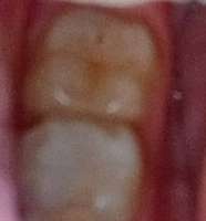 IMG20230516055822648.jpg