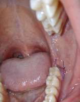 IMG20230725134702.jpg