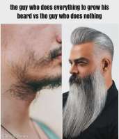 beard-meme-v0-5qj8gqqvdqha1.webp