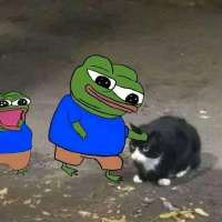 1712089279493.jpg