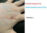 17475262879901.jpg