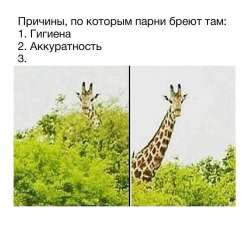 17432857415473.jpg