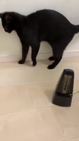 1616931049054.mp4