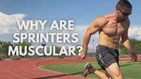 sprinter-muscles-why-are-sprinters-so-muscular-v0-27MAox1FSSEph2iXQjqSTkcODByqmyWBgmNByKWhEo.webp