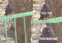 shareimage1642973742904.png