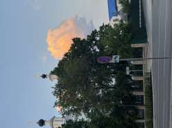 IMG1606.jpeg