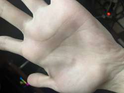 IMG1504.jpeg