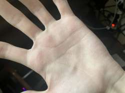 IMG1502.jpeg