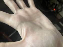 IMG1503.jpeg