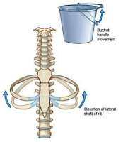 chest-wall-pain-2.jpg