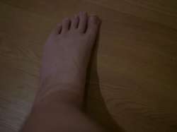 01577289.jpg