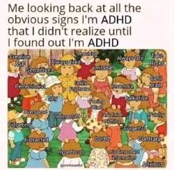 175532790102936476.jpg