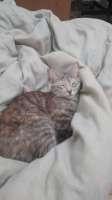 IMG-20250807-WA0021.jpg