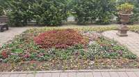 IMG-20250807-WA0007.jpeg