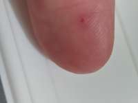 IMG202509022116303~2.jpg