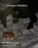 17136028247353.jpg