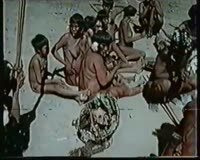 17548372802640.mp4