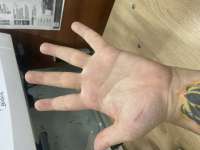 IMG2588.jpeg