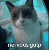 нервничает.gif