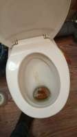 IMG20250213042938228.jpg