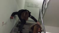 пердиксы газонюхи 2.mp4