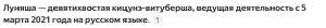 изображение.png