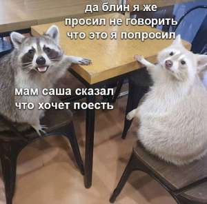 17455815416661.jpg