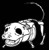 slow.png