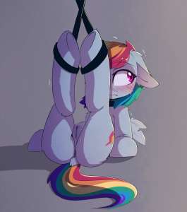 1215201explicitartist-colon-magnalunaderpibooru+importrainbow+dashpegasusponyanusblushingbondagebuttcollarcutecute+porndashsubdockemba.jpeg
