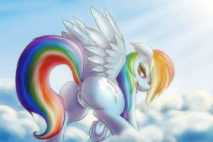rainbowbutt.jpeg