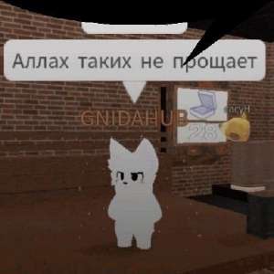 IMG20250513161648817.jpg