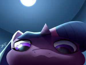 Twilight Sparkle looks.png