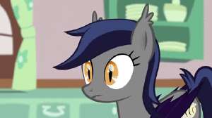 2050842safeococ+onlyoc-colon-echobat+ponyponyanimatedbat+pony+ocbowlcutefemalefoodgifi+don27t+need+itmangomarememespongebob+in+the+commentss.gif