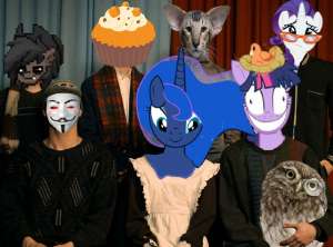 MLP 2025.jpeg