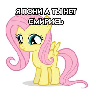 60d7292d4654cbf184fbe33f3dc27f79-3014900709.jpg