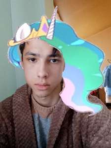 lifichka.png