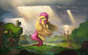 fluttershy rain.jpg