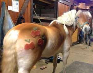 applejack-v0-8tm6rtja1dce1.jpeg