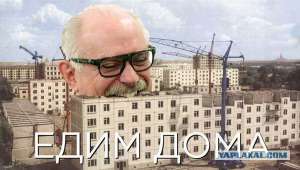 5287768.jpg
