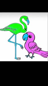 flamingo.mp4