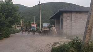 IMG20250621193753985.jpg