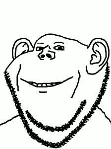 17452622445510.gif