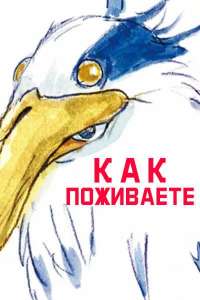 1689762955kak-pozhivaete.jpg