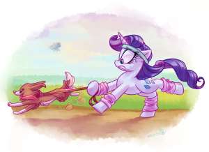 925458safeartist-colon-whitediamondsrainbow+dashraritywinonacolliedogpegasusponyunicornrarijack+dailyg4border+collieclothescuteduo+focusfemal.png
